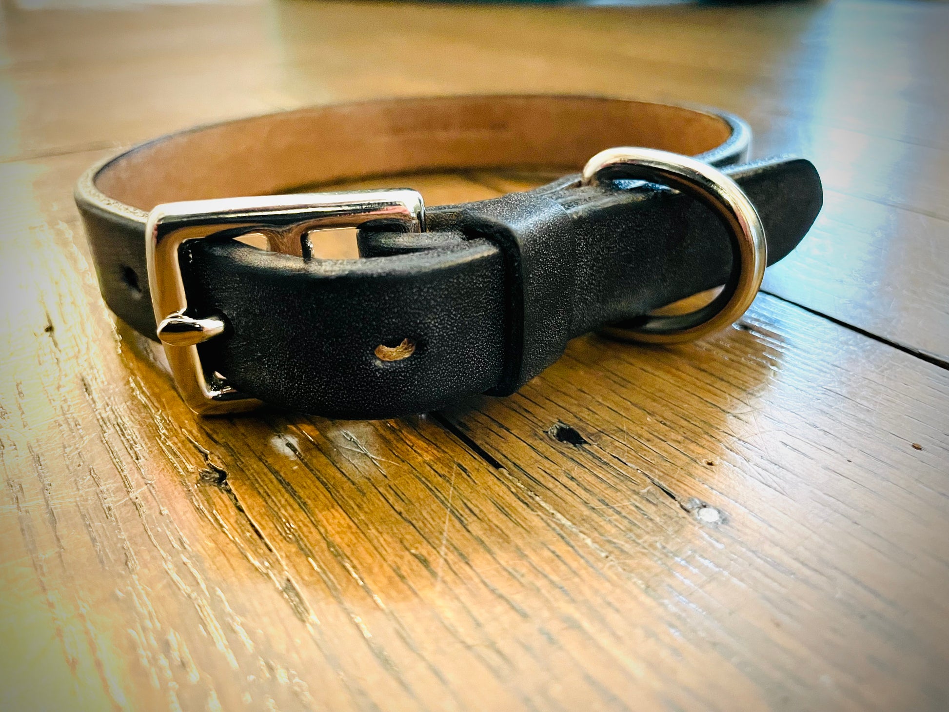 MEWS London Leather Dog Collar