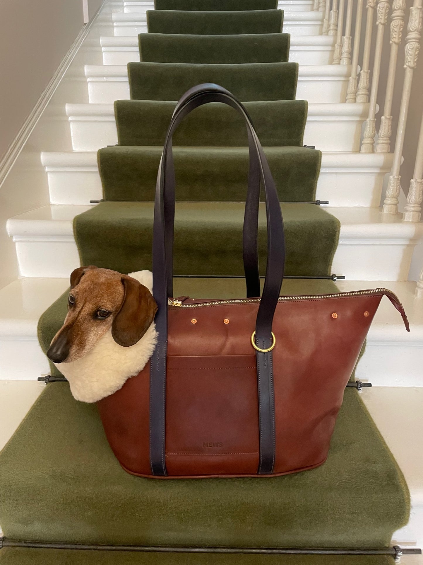 Wilton Dog Bag